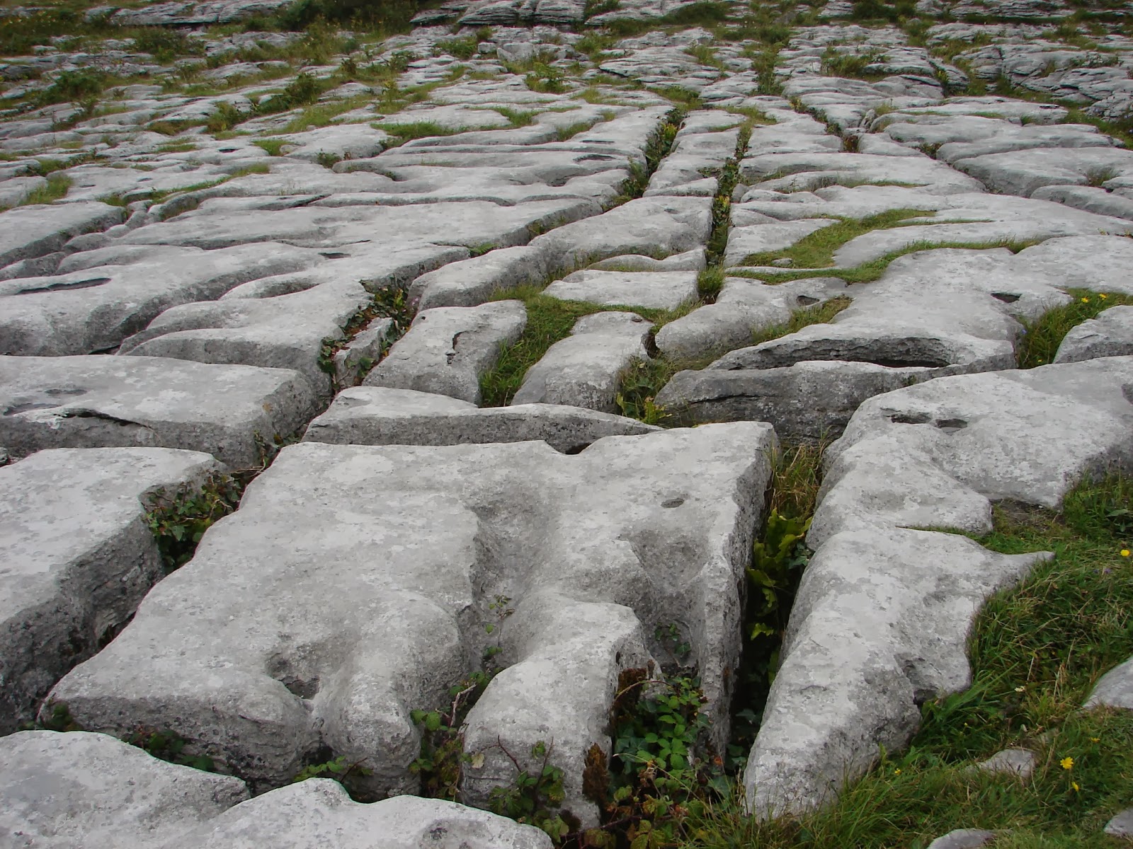 Chan calizo da meseta de Burren, en Pol na Brone (XMLS, 2013)