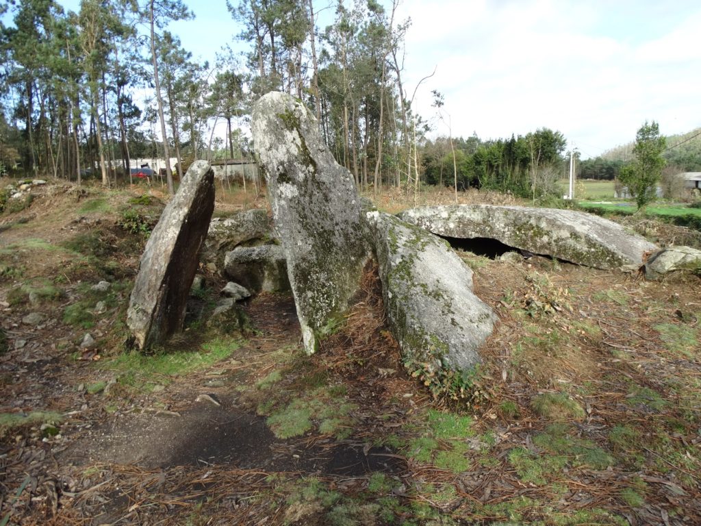 Anta (ou dolmen) de Pedra Cuberta (X. Mª Lema)